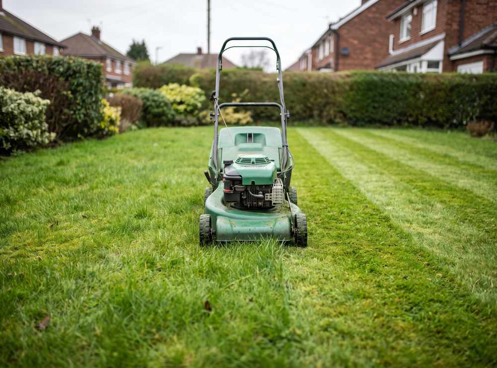 A rotary mower part way across a domestic lawn, the mown stripe clearly shorter than the grass ahead of it